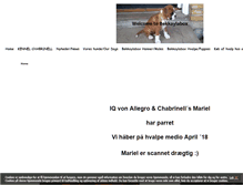 Tablet Screenshot of bekkaylabox.dk